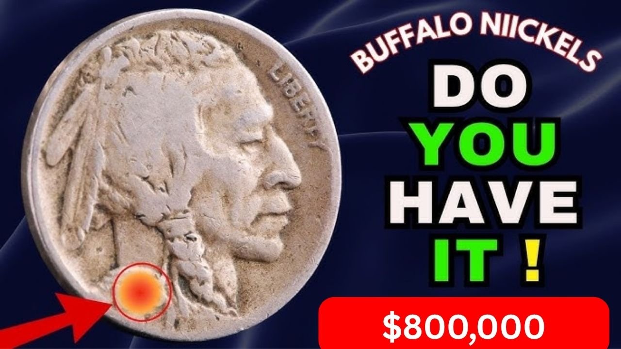 Rare Find in Pocket Change: 1944 Buffalo Nickel Could Fetch Over $800,000